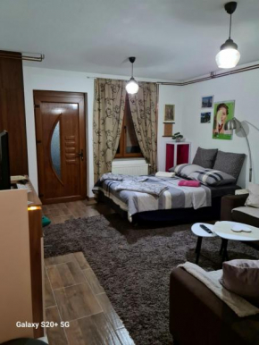 Studio Apartman Ana Doboj